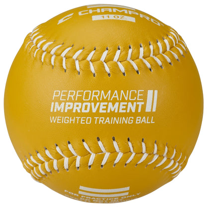 Champro Weighted Training Softballs (Bulk or Retail)