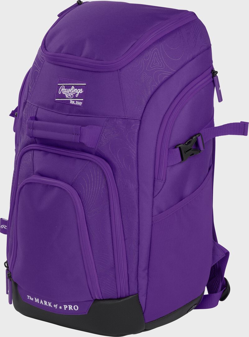 Rawlings Franchise 2 Players Backpack