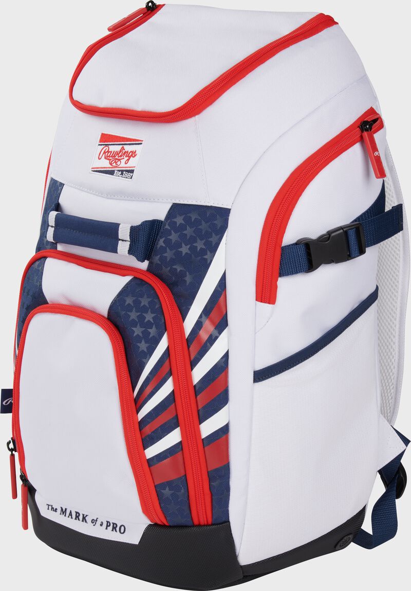 Rawlings Franchise 2 Players Backpack