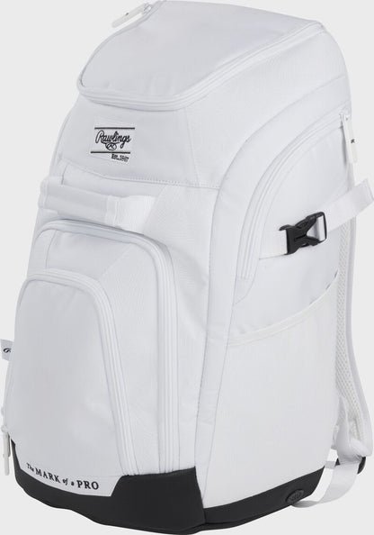 Rawlings Franchise 2 Players Backpack