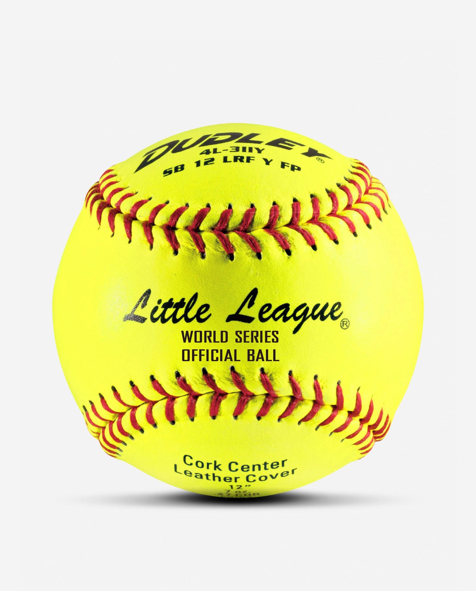 Dudley Fastpitch Little League Softball - Thumbnail 3