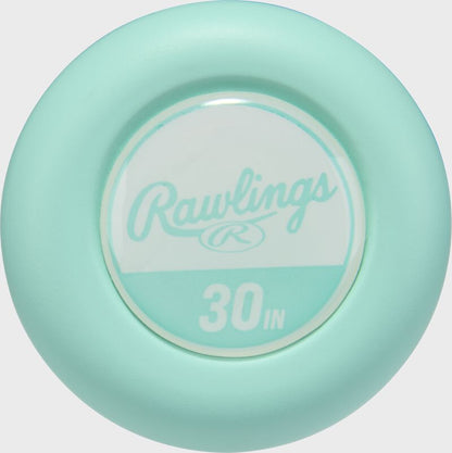 2026 Rawlings Icon -5 USSSA Youth Baseball Bat