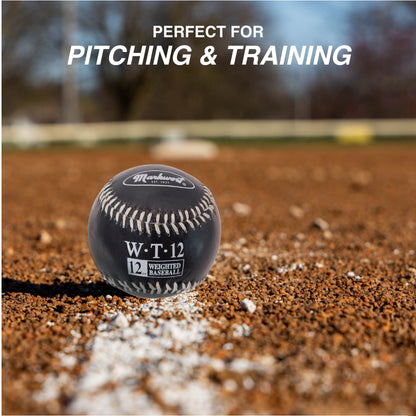 Markwort 9-Inch Leather Cover Weighted Baseball Set